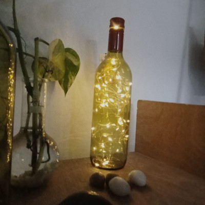 Fairy Lights With Bottle & Gift Box